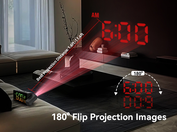 180° Filp Projection Images