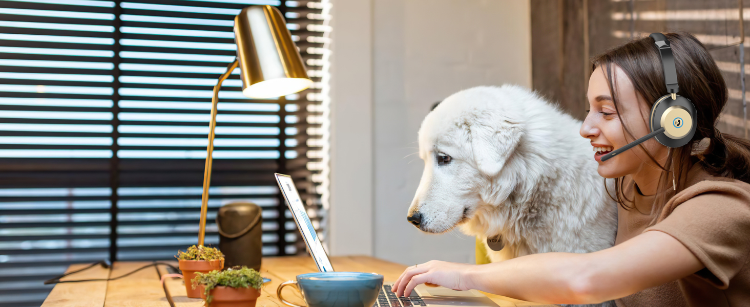 work headphones with mic