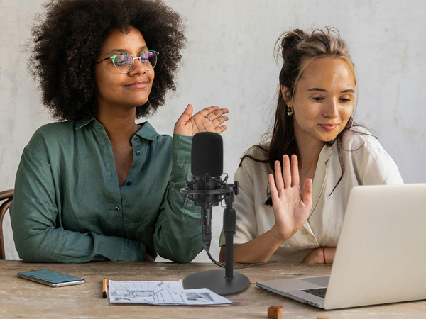 Audio Technica AT2020 Mic Stand