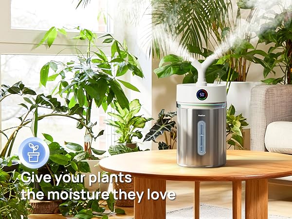humidifier for plants