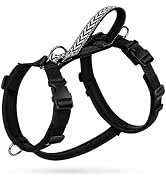 Arblina No Pull Dog Harness with Soft Padded, 3X Buckle Harness with Thick Handle for Medium Larg...