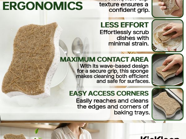 kitchen dish sponges