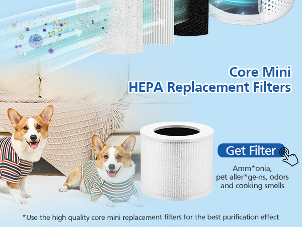 Core mini replacement filter