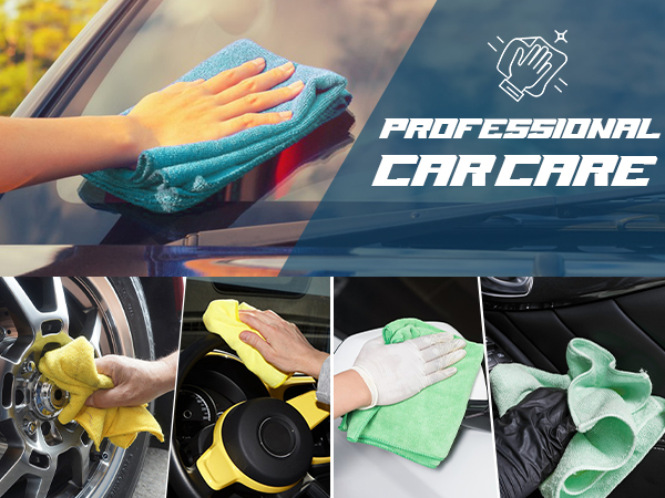 professional car care