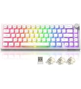 Womier 60% Percent Keyboard, Wireless Mechanical Creamy Gaming Keyboard with QMK/VIA, Topographic...