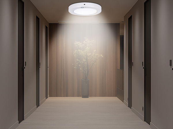 Brighten Up Hallway
