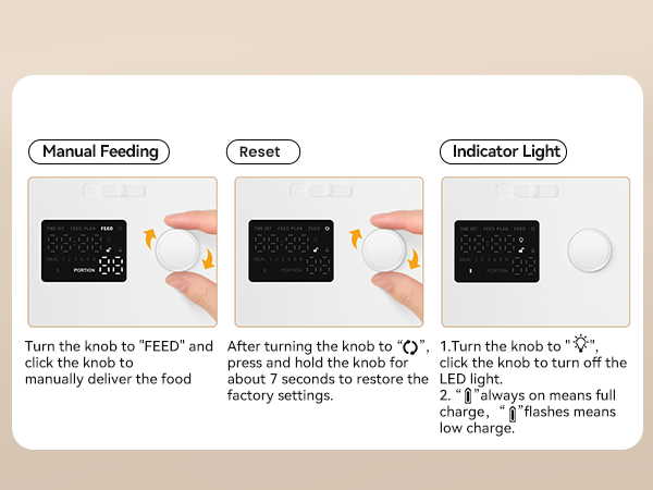 Automatic Cat Feeder and Water Dispenser