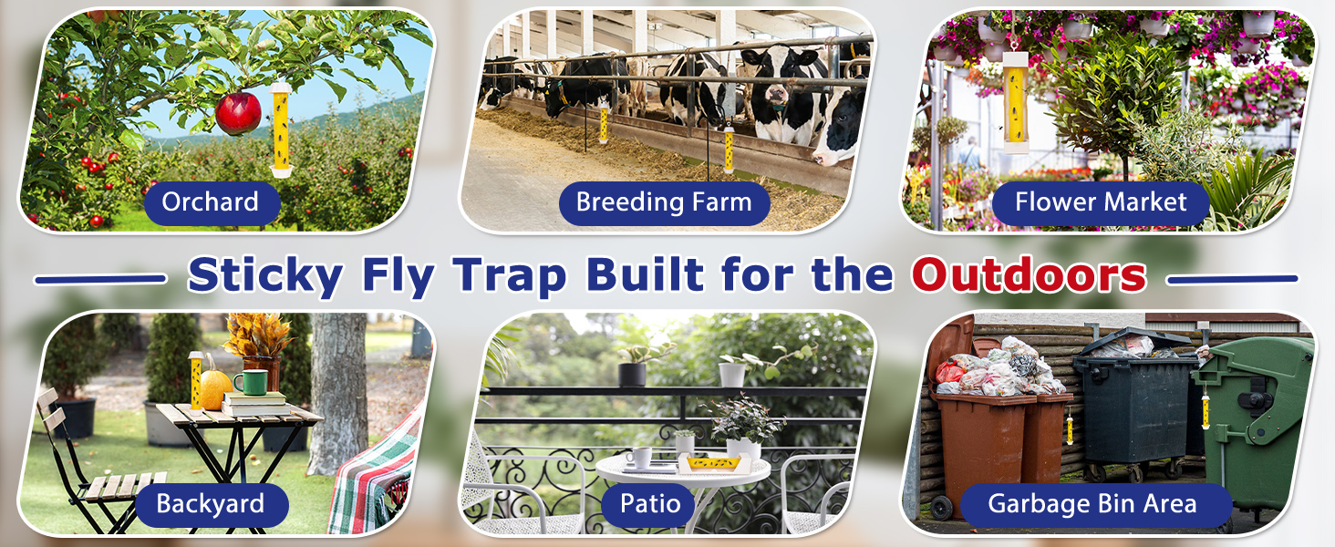 fly traps outdoor
