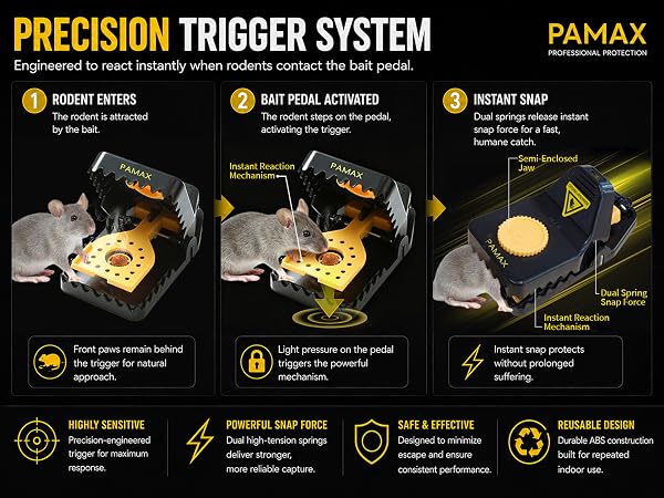 Mouse Trap Humane &amp;amp; Powerful Mouse Traps