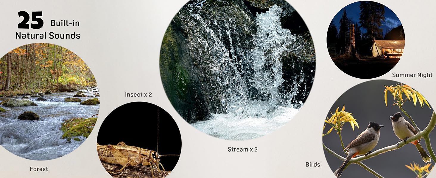 alarm clock for heavy sleepers