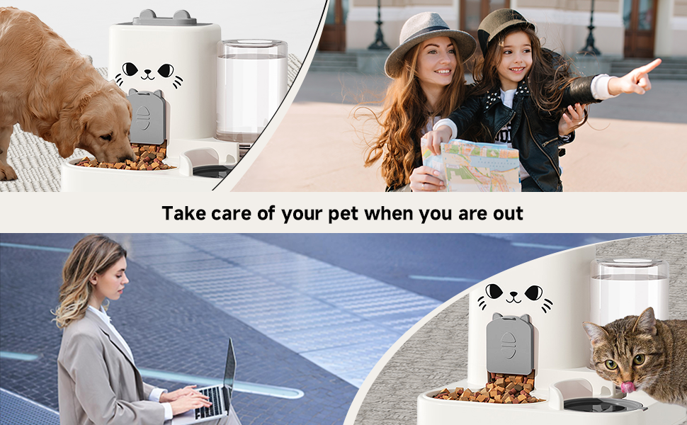 cat dog feeder and water dispenser