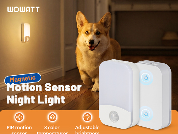 rechargeable night light motion sensor