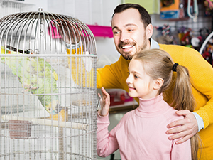 bird cage net cover large