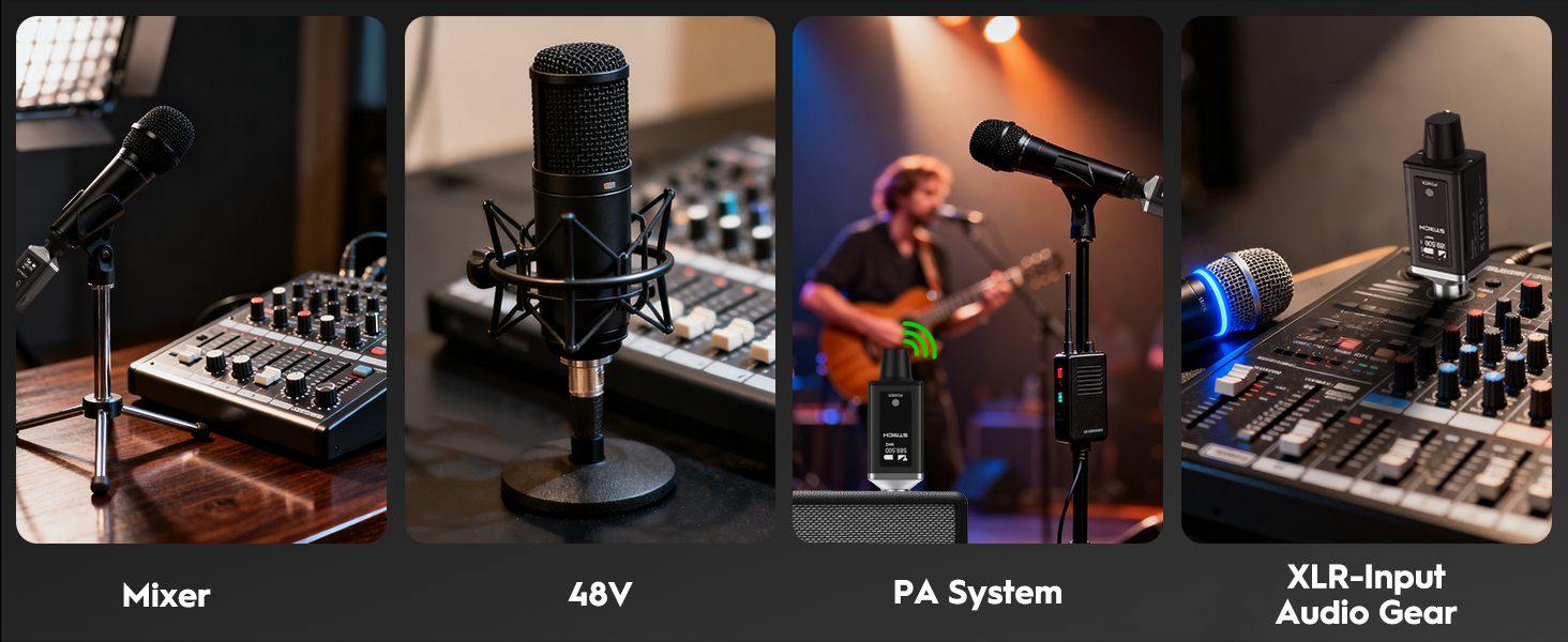 Wireless mic audio system