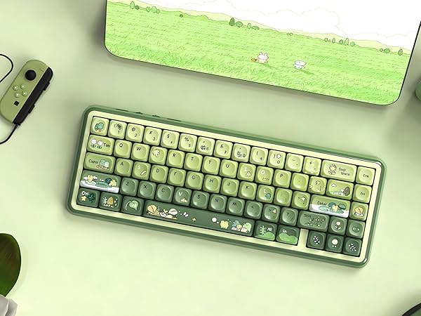 Cute Frog Keyboard keycaps Ceramic Style,Matcha Green moa keycap Set,dye Sublimation Keyboard caps