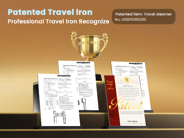 Professional Traveling Steamer