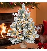 RIDGEPOLE 2FT Pre-lit Mini Christmas Snow Flocked Tree,Tabletop Artificial Christmas Tree with LE...