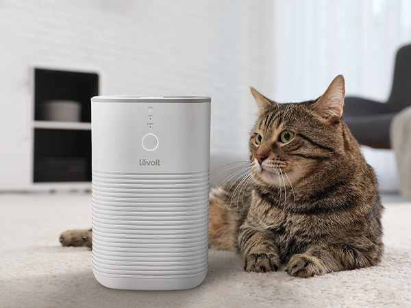 HEPA Filter Air Purifier