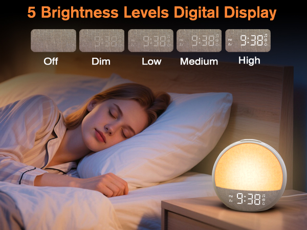 digital clock with 5 adjustable brightness levels for screen display