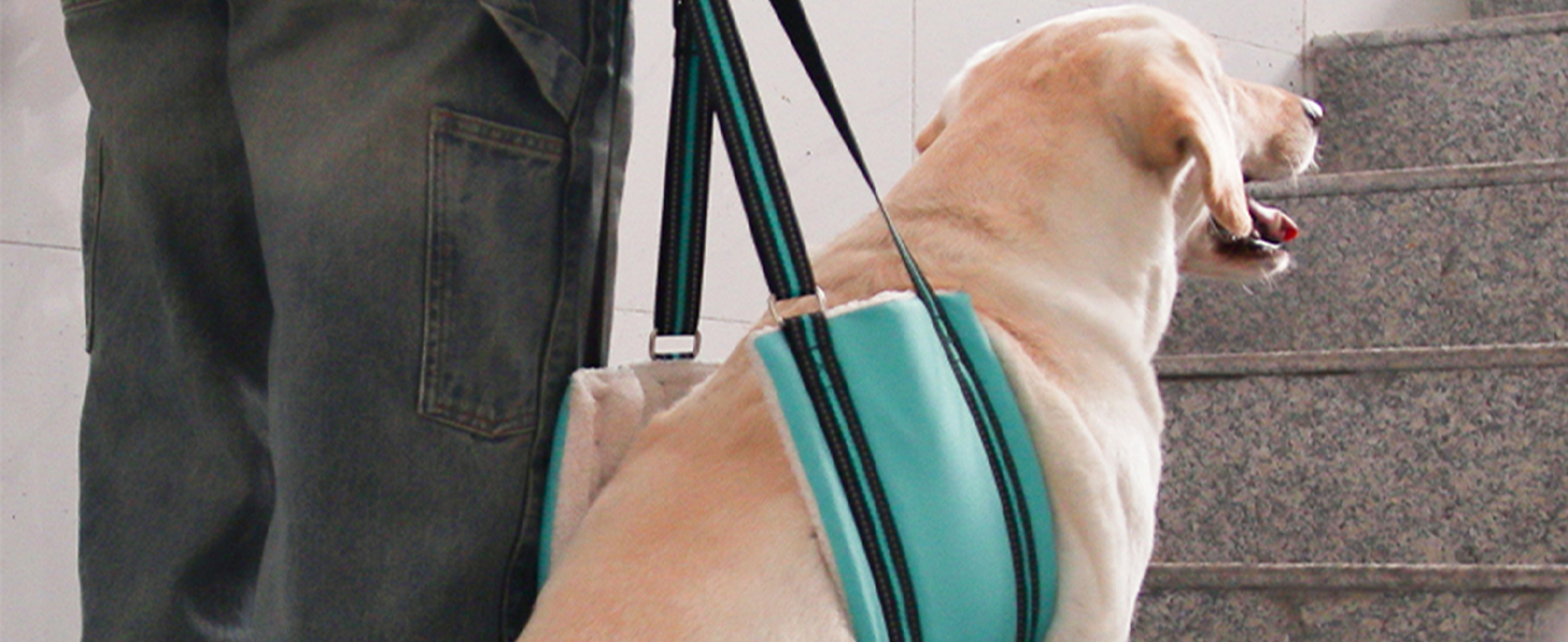 AIITLE Heavy-Duty Dog Lift Harness - Adjustable Hind Leg Support Sling for Elderly/Disabled Dogs