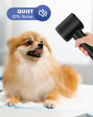 High Speed Ionic Hair Dryer