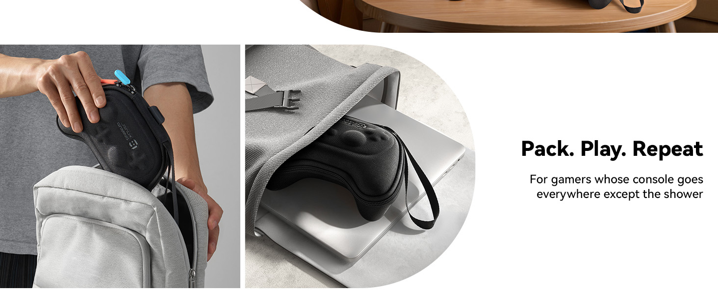 switch 2 pro controller case
