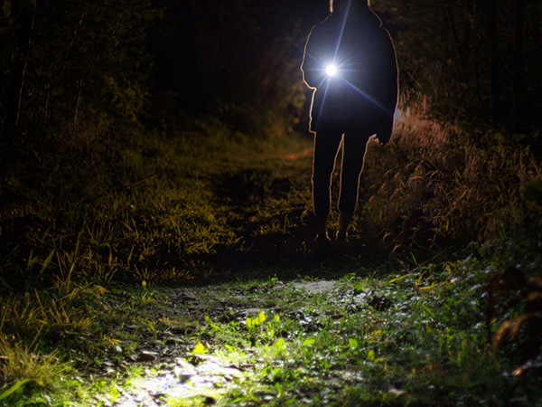 WORKPRO 4PK 2AAA Aluminium Pen Light Set