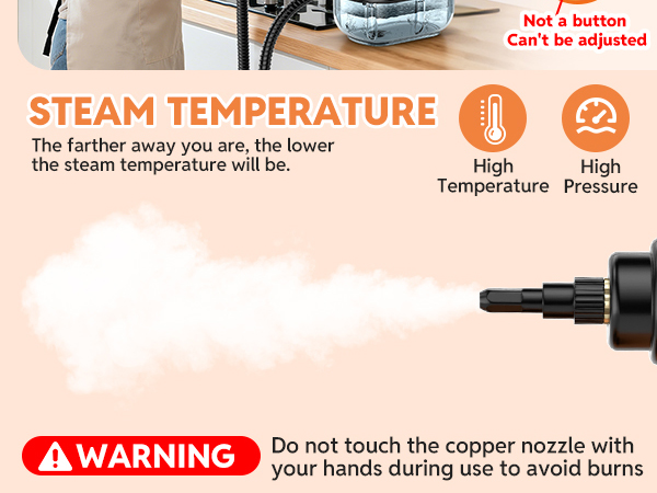 steam cleaner for home