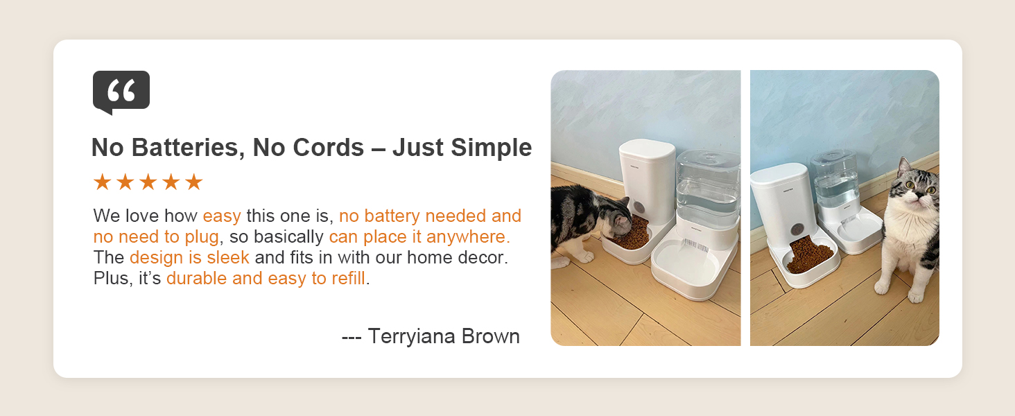 cat water dispenser automatic