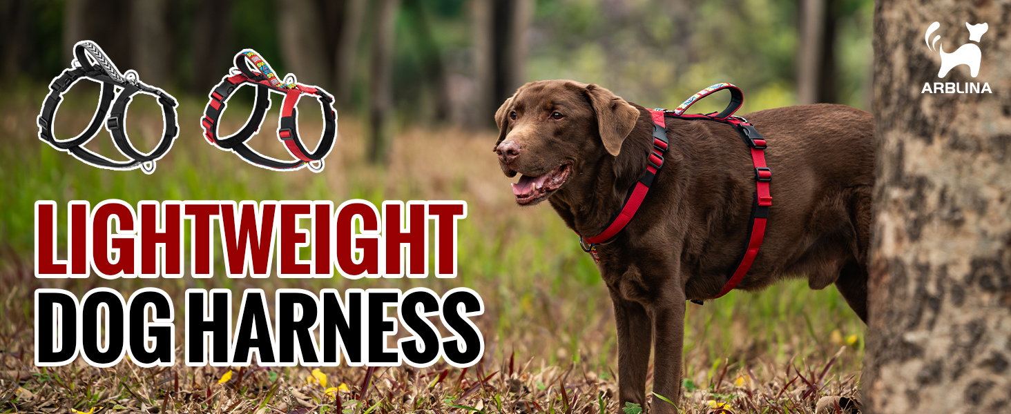 Text reads 'LIGHTWEIGHT DOG HARNESS'. Brown dog wearing harness outdoors with scenic background. Product features shown with harness design illustration at top.