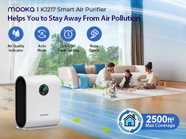 air purifier