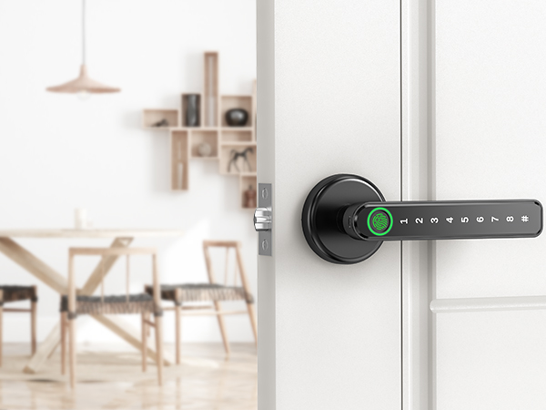 fingerprint door lock
