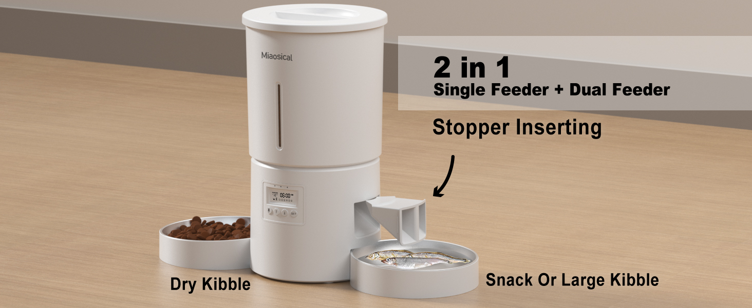 dual cats auto feeder
