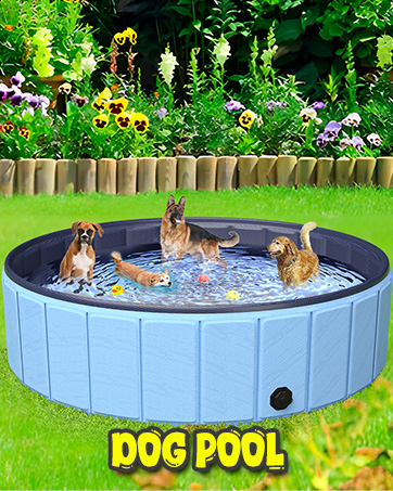 dog pool