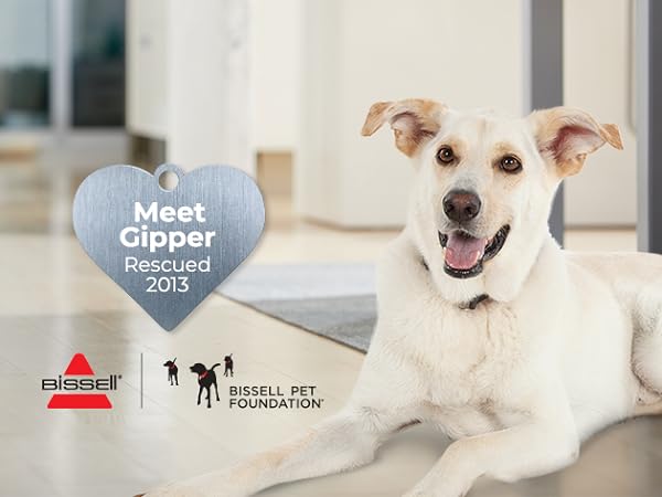 bissell pet foundation