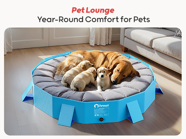 kiddie pool plastic hard dog inflatable pool kitty pool for dogs dog bathtub foldable