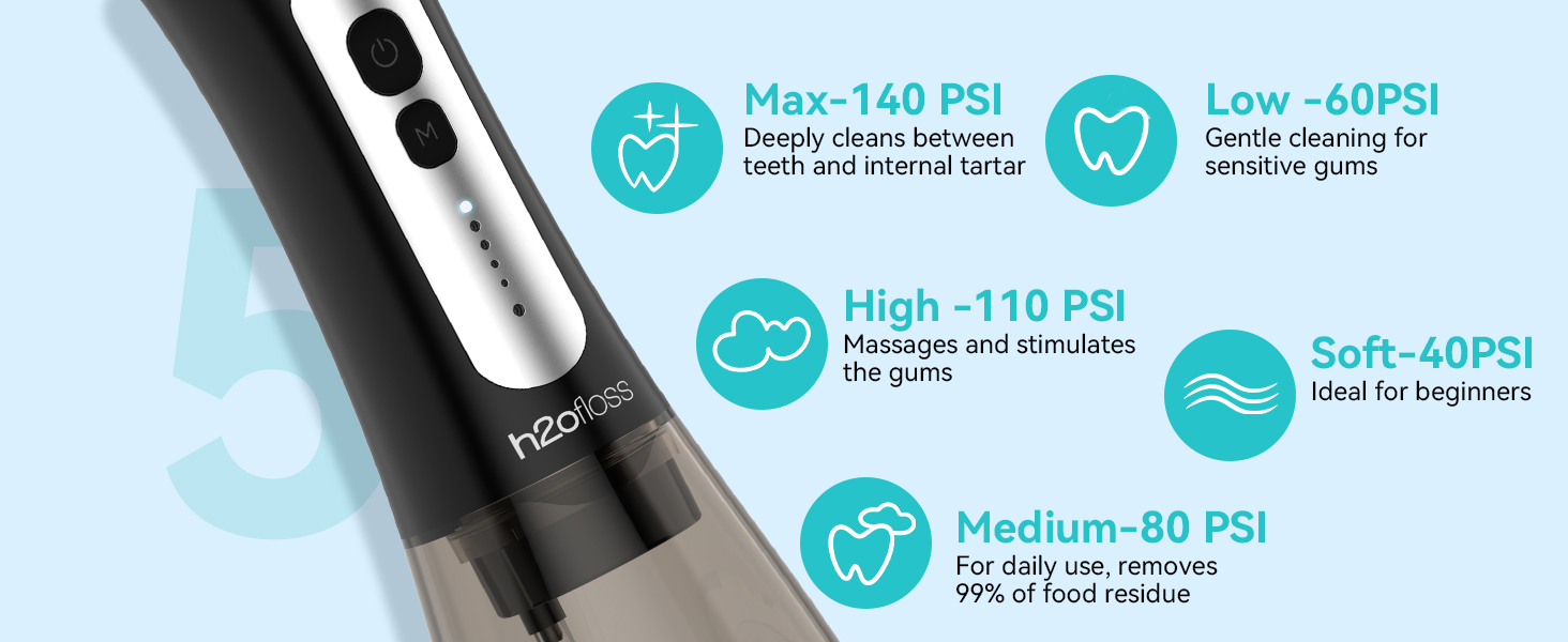 h2ofloss electric toothbrush and water flosser combo
