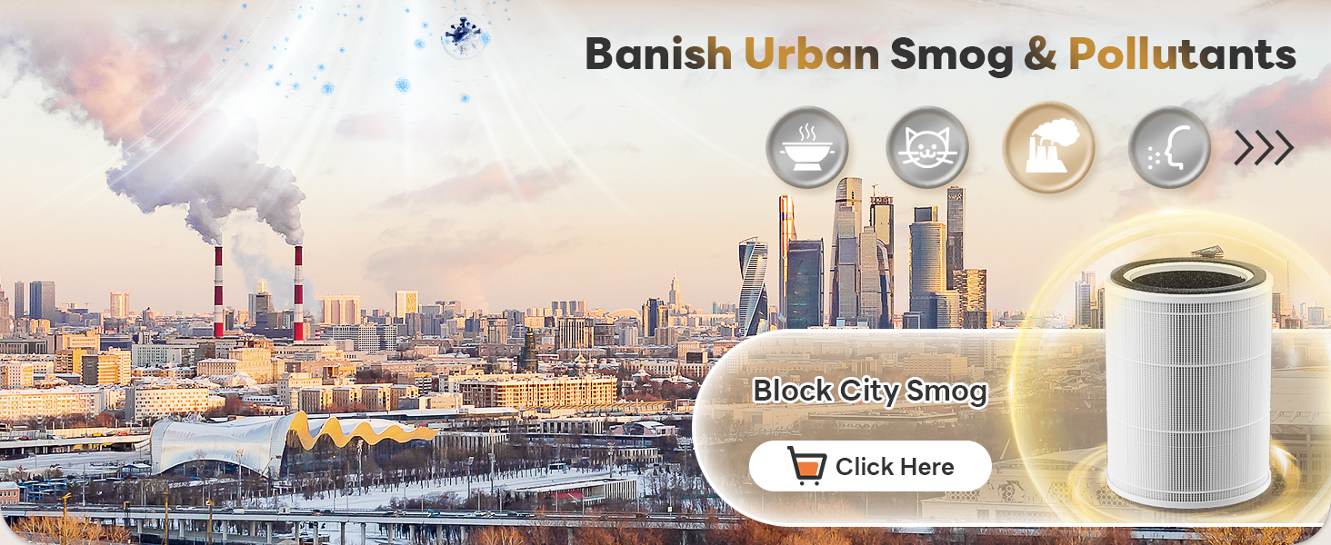 air purifier for large room