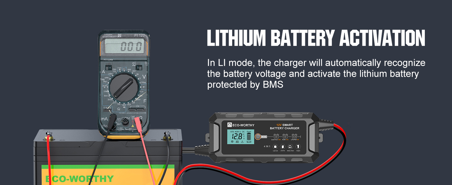 lifepo4 battery charger