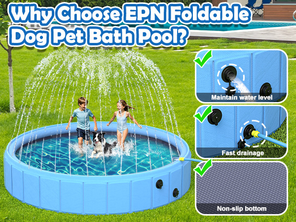 dog pool