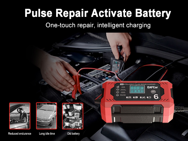 trickle charger for car battery 12v