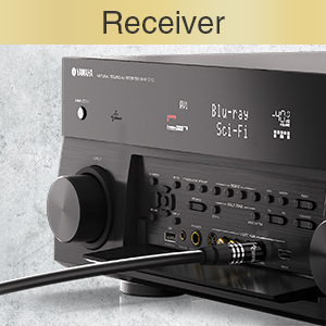 BlueRigger 6ft toslink cable 10ft 3ft toslink cable 15ft 3ft optical audio cable 6ft 8ft Zipphy