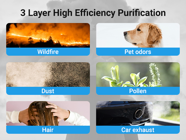 air purifier