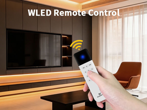 remote control