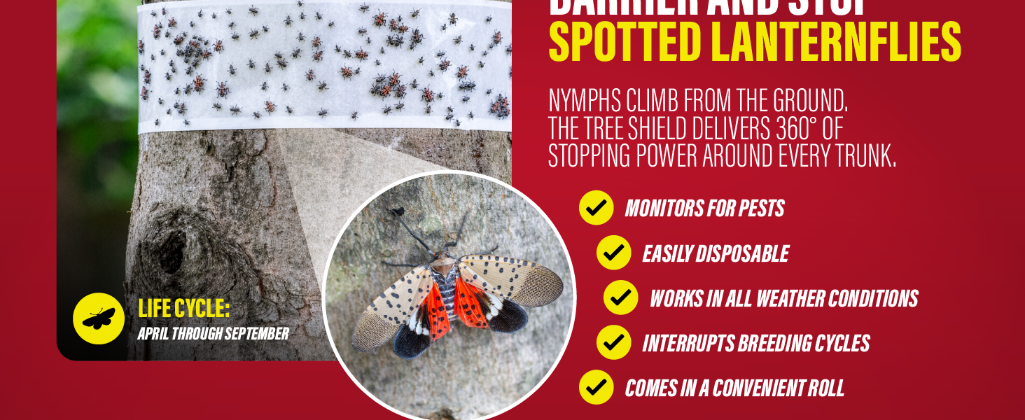 Catchmaster tree shield creates an insect barrier to stop spotted lanternflies on trunks