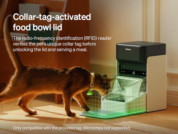 RFID Cat Feeder