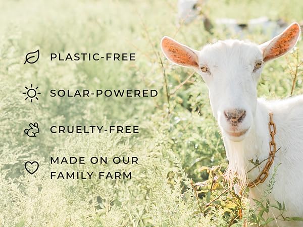 text highlighting that the product is plastic-free, solar-powered, cruelty-free