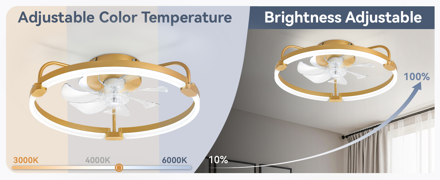 low profile ceiling fan with light