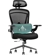 Sweetcrispy Ergonomic Mesh Office Chair, High Back with 2D Headrest, Up&Down Lumbar Support, Swiv...