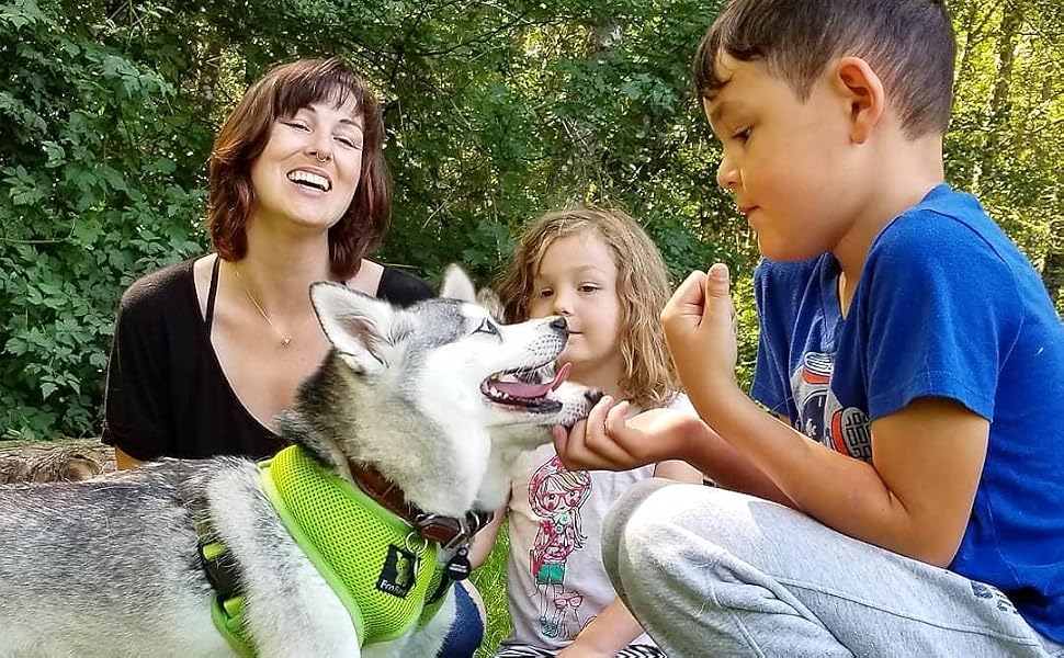Dog Harnesses